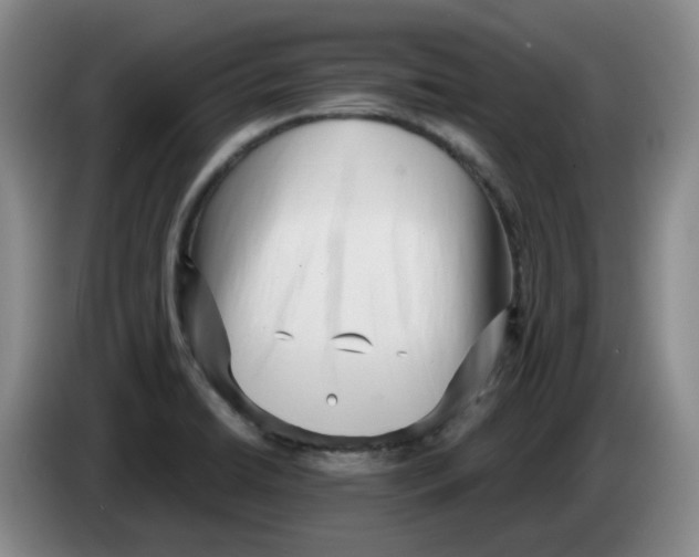 X0000084041422200703092022