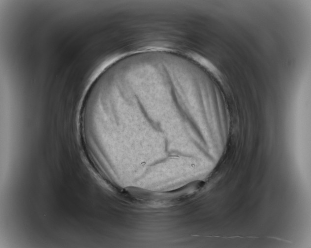 X0000084041423200703092022