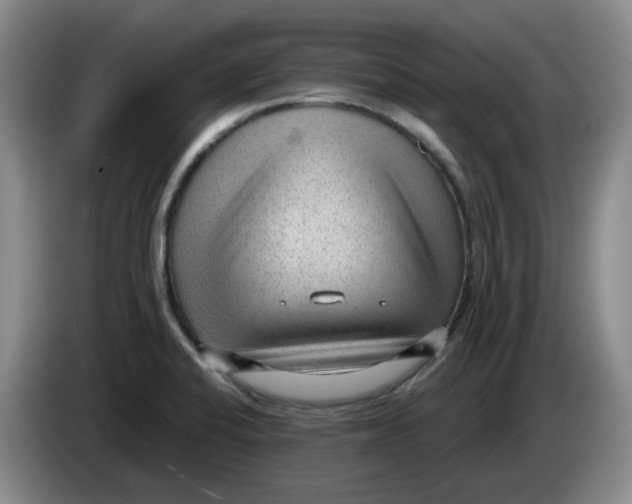 X0000084041424200703092022