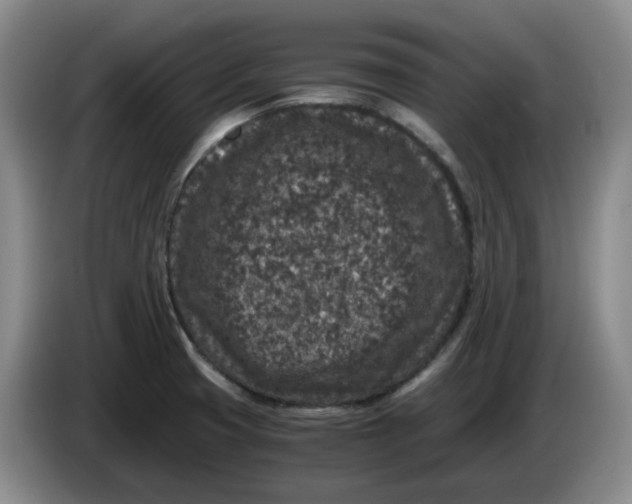 X0000084041425200703092022