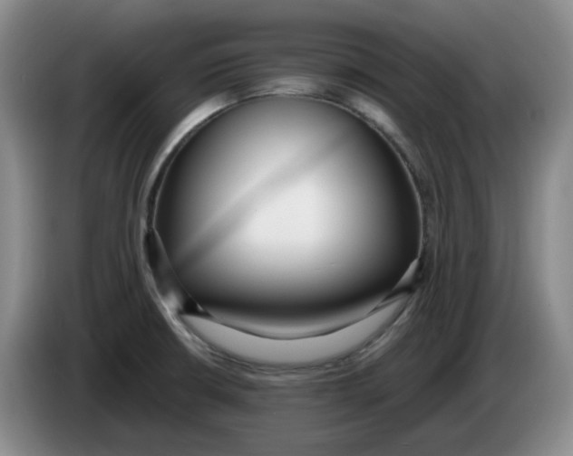 X0000084041426200703092022