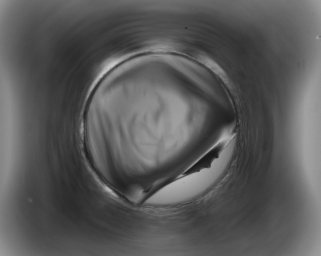 X0000084041428200703092022