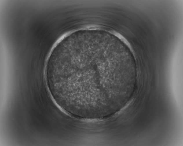 X0000084041429200703092022