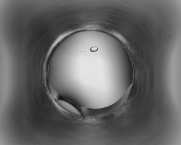 X0000084041430200703092022