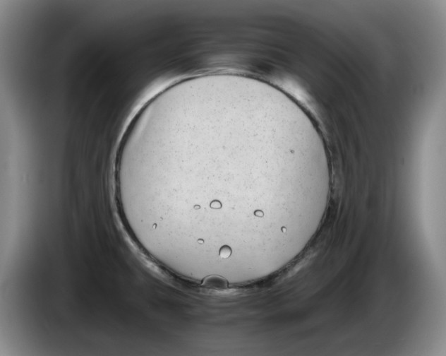 X0000084041431200703092022