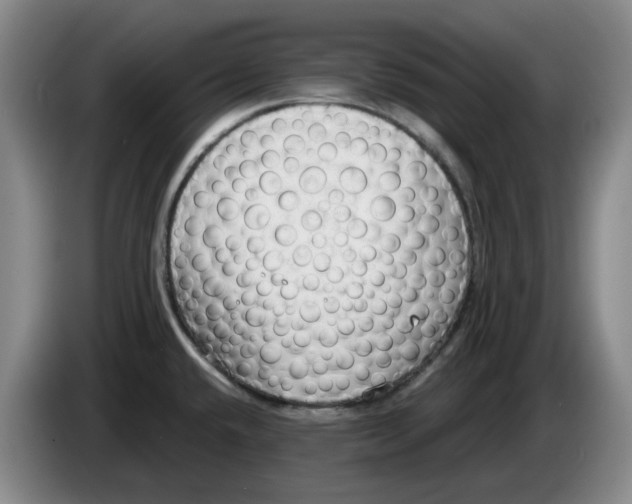 X0000084041432200703092022