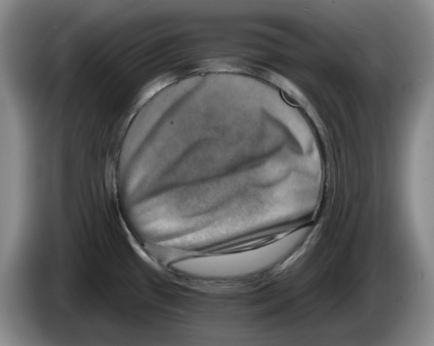 X0000084041433200703092022