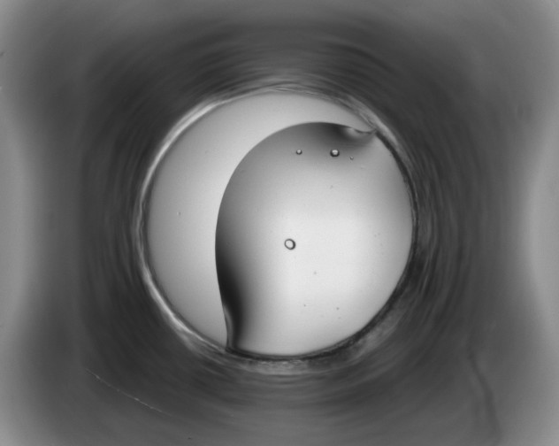 X0000084041434200703092022