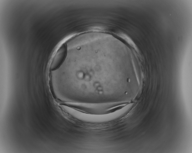 X0000084041435200703092022