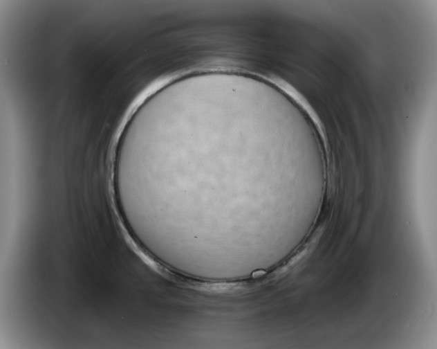 X0000084041437200703092022