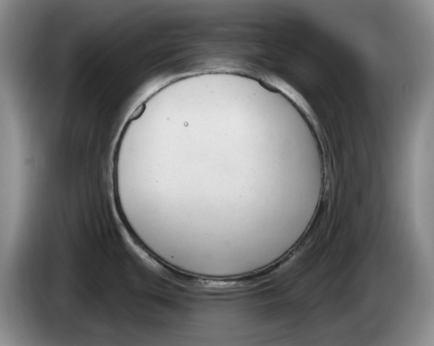 X0000084041439200703092022