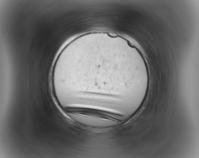 X0000084041440200703092022