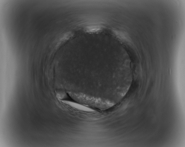 X0000084041441200703092021