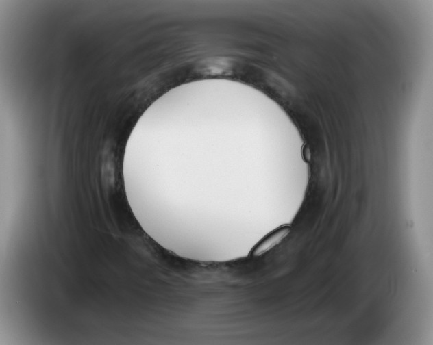 X0000084041442200703092021