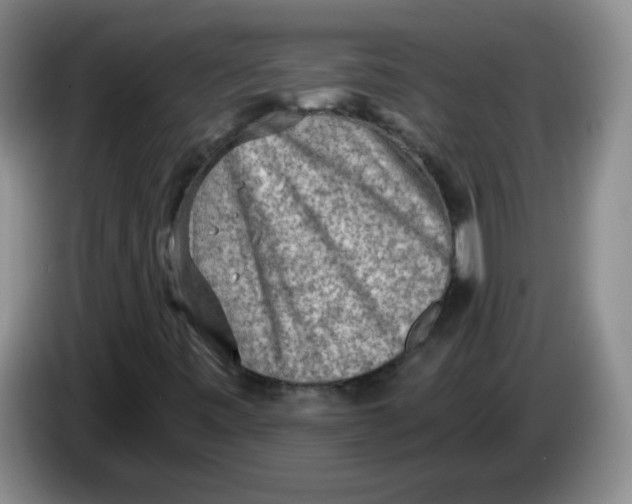 X0000084041443200703092021