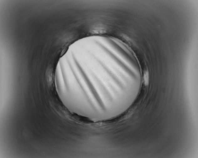 X0000084041444200703092021