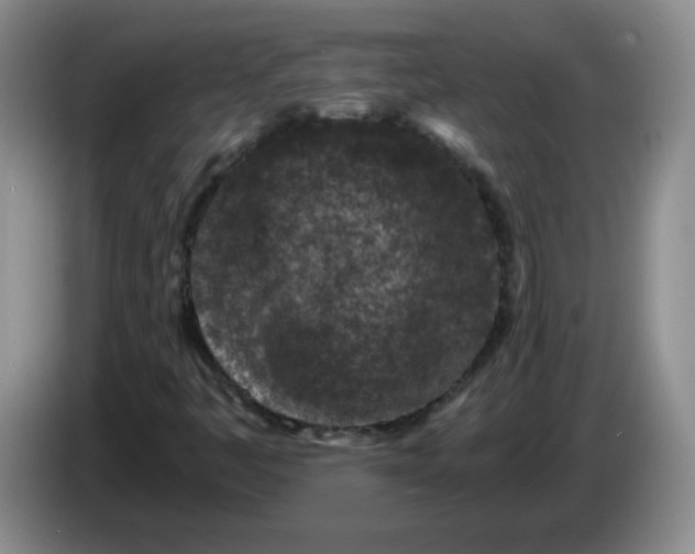 X0000084041445200703092021