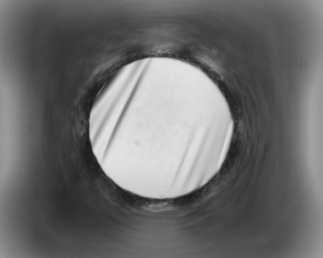 X0000084041447200703092021