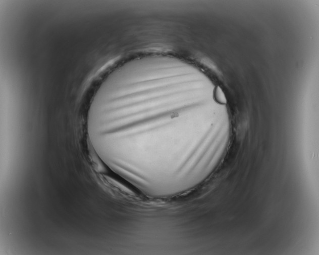 X0000084041448200703092021