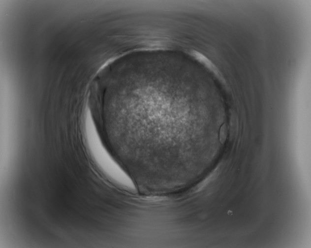 X0000084041449200703092021