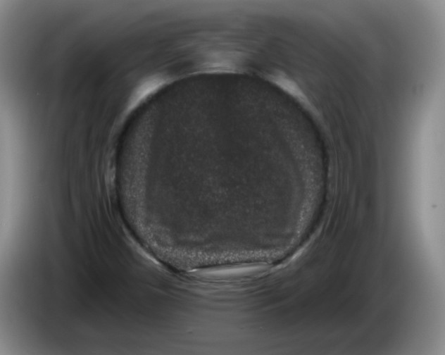 X0000084041450200703092021