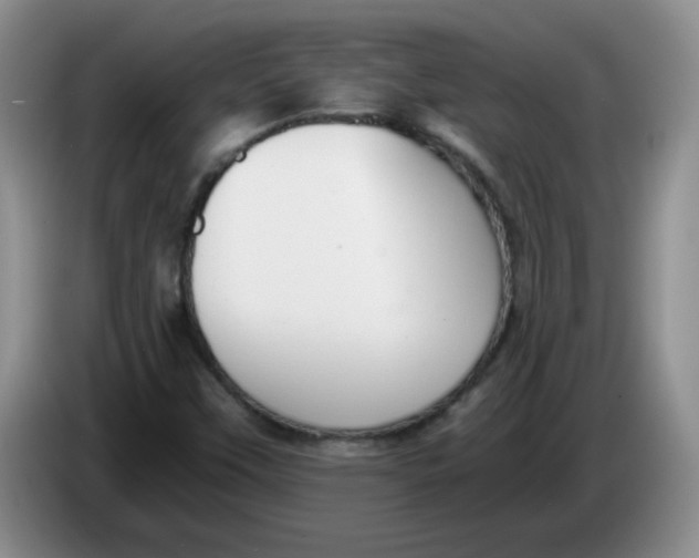 X0000084041451200703092021