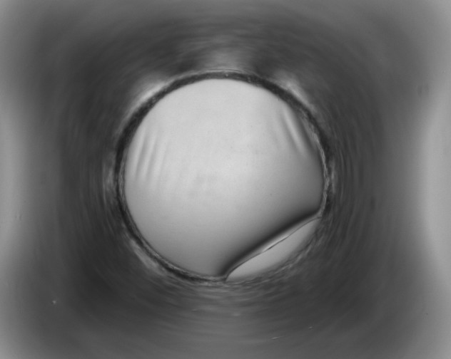 X0000084041452200703092021