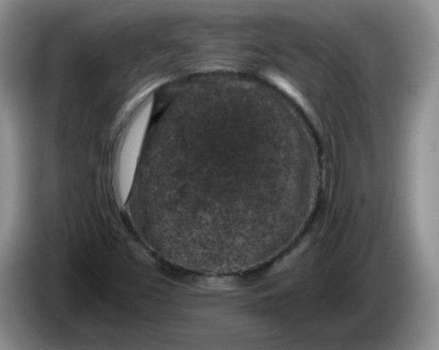 X0000084041453200703092021