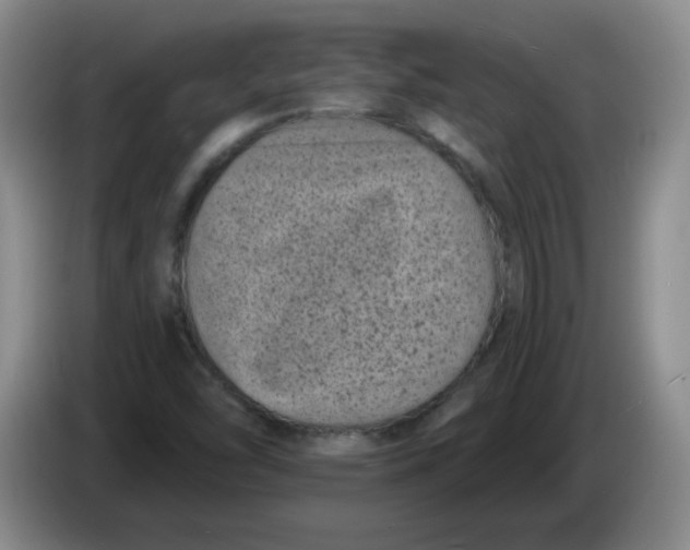 X0000084041454200703092021