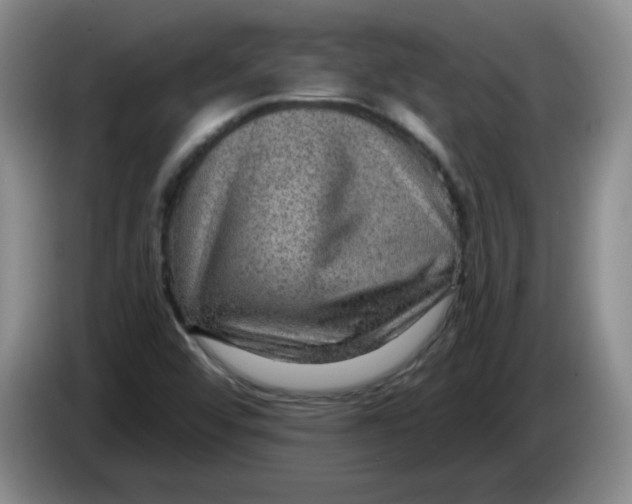 X0000084041456200703092021