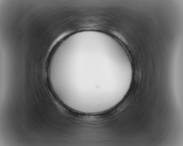 X0000084041458200703092021