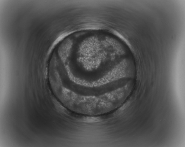 X0000084041459200703092021