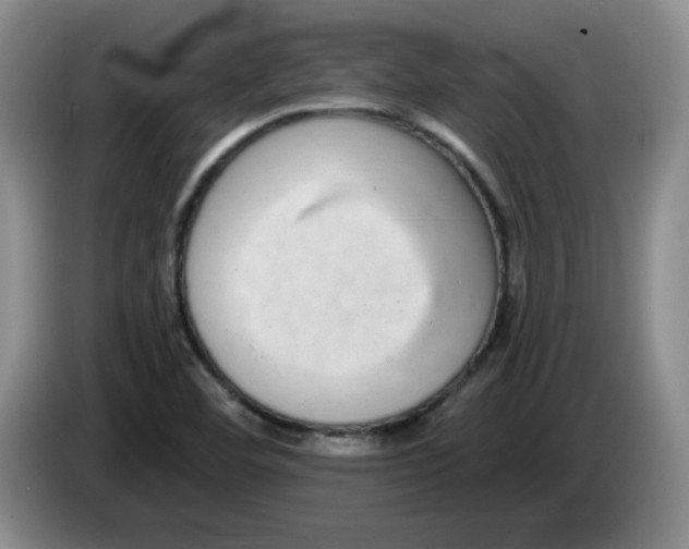 X0000084041460200703092021