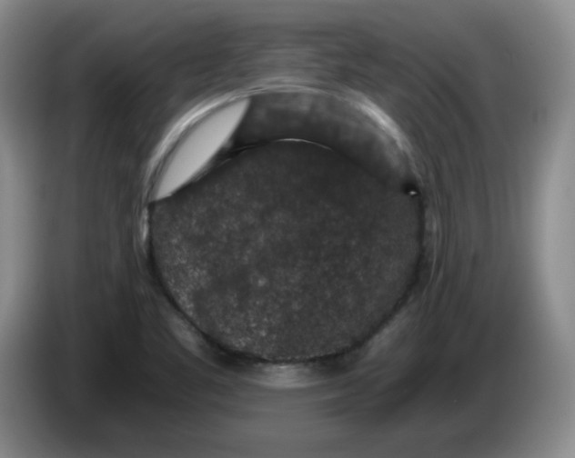 X0000084041461200703092021