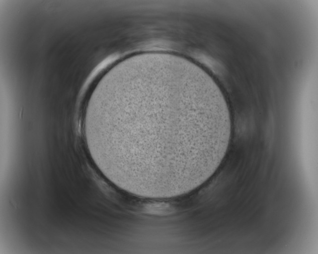 X0000084041462200703092021