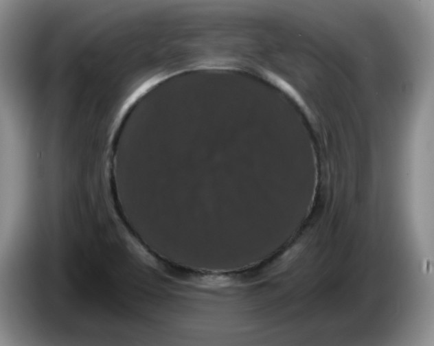 X0000084041463200703092021