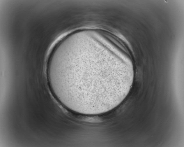 X0000084041464200703092021