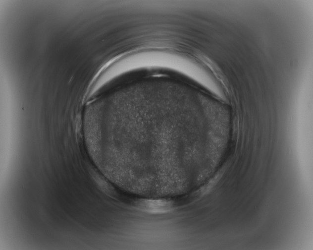 X0000084041465200703092021