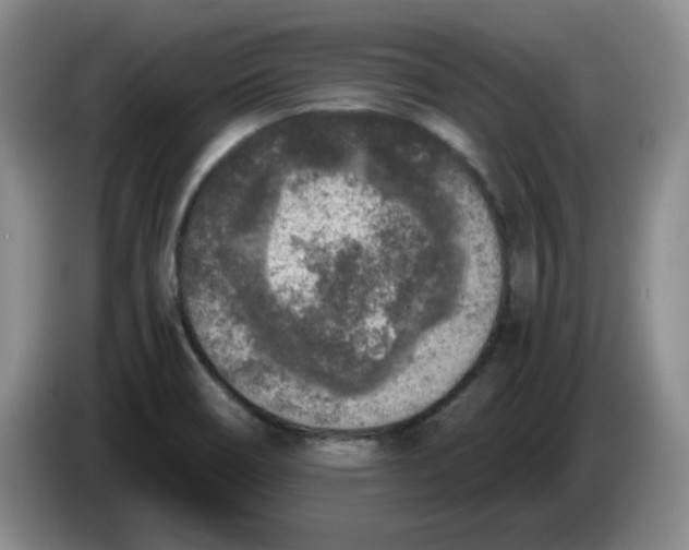 X0000084041466200703092021