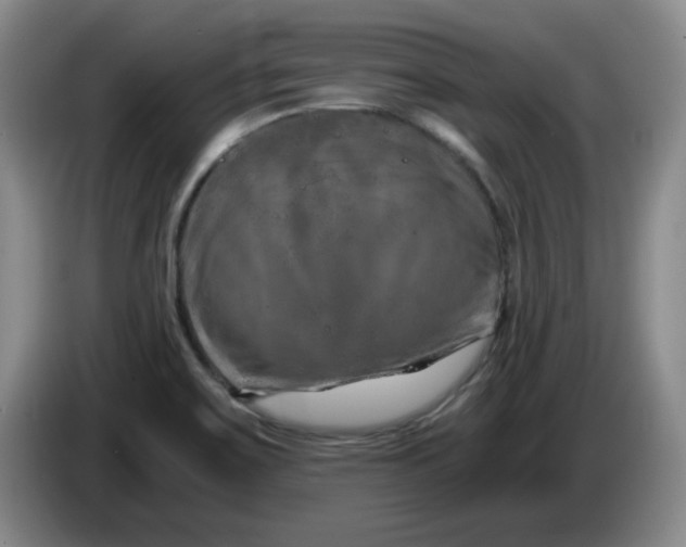 X0000084041467200703092021