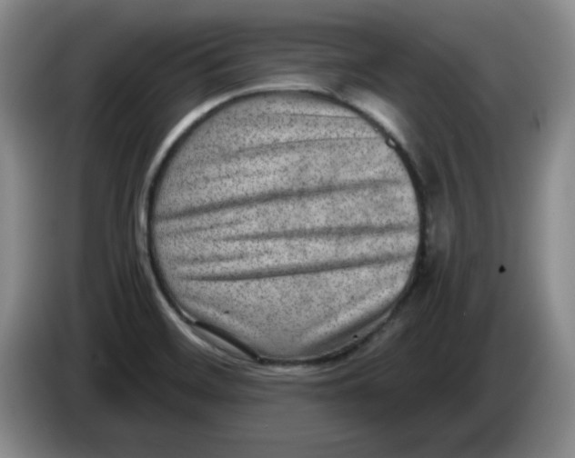 X0000084041468200703092021