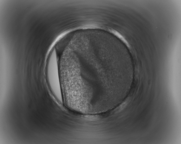 X0000084041469200703092021