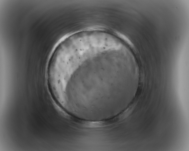 X0000084041471200703092021