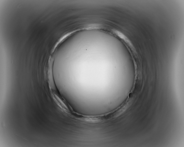 X0000084041473200703092021