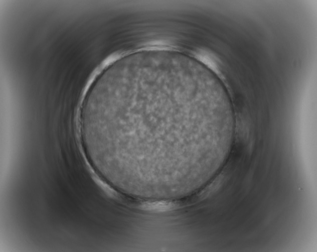 X0000084041474200703092021