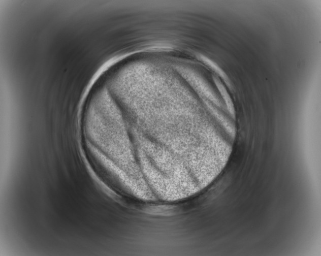 X0000084041475200703092021