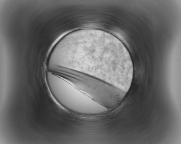 X0000084041476200703092021