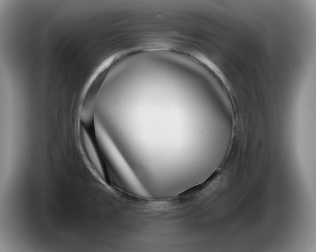 X0000084041477200703092021