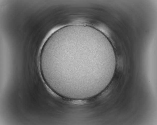 X0000084041478200703092021