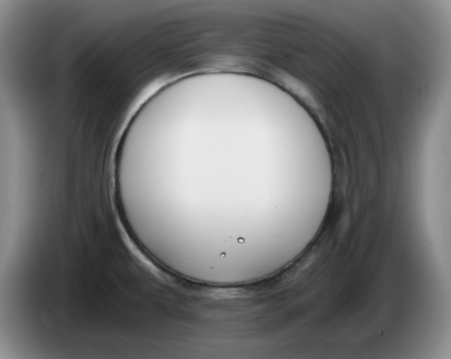 X0000084041479200703092021